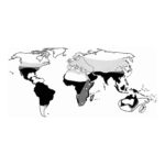 Distribution of the Culex pipiens complex and its sibling species based on maps of Dahl, 35 Belkin, 36 Mattingly and others, 37 and available literature. 12,38,39 Light gray Cx. pipiens; black Cx. quinquefasciatus; dark gray overlapping ranges of Cx. pipiens and Cx. quinquefasciatus; region marked by dotted line Cx. torrentium; region marked by solid line Cx. australicus; region marked by dashed line Cx. pipiens pallens; New Zealand marked by dotted and dashed line Cx. pervigilans.